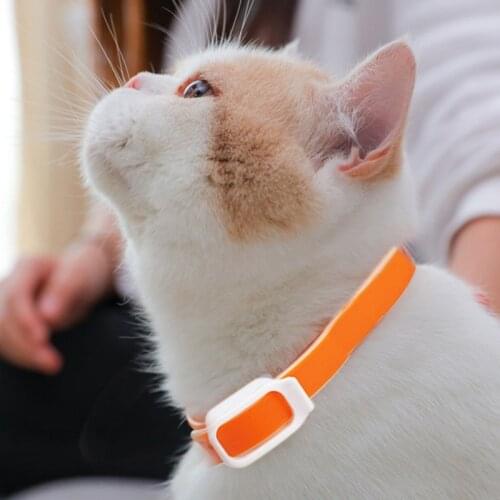 Pet Dog Insect Repellent Collar Preventing Ticks Cat Collars Kitten Puppy Essential Oils Necklace Summer Pets Supplies