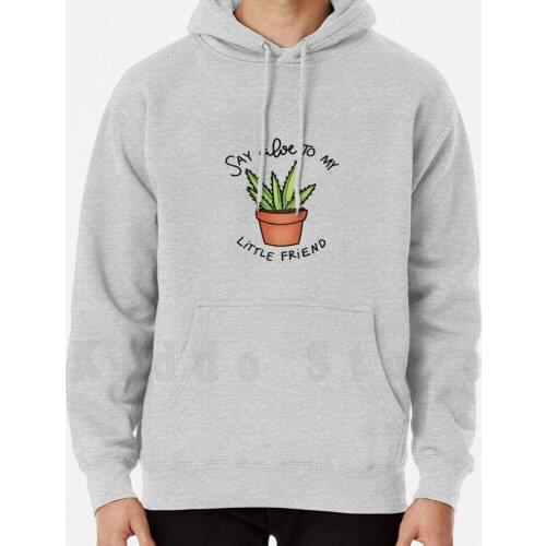 Say Aloe To My Little Friend hoodies long sleeve Succulent Aloe Plant Plant Funny Cute Pun Punny Succulents Plants