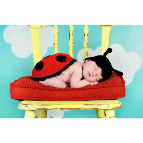 Free shipping, Baby ladybird hat with Blanket cover 2pcs set , handmade crochet newborn hat Caps ,newborn crochet photo props