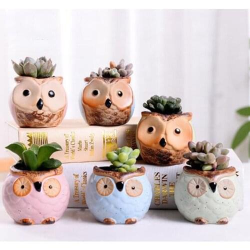 New Succulent Plants Ceramic Flowerpot Owl Flower Pot Creative Mini Bonsai Pot Garden Pots Planters Home Garden