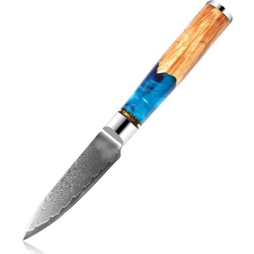 Professional 3.5 Inch Paring Knife 67 Layers Damascus Steel Kitchen Knives Fruit Knife Excellent Dalbergia Handle