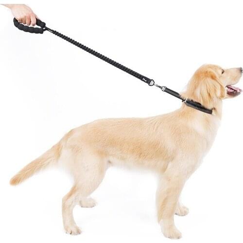 Dog Leash Buffer Bungee Jumping To Prevent Violent Impact Safety Rope Retractable Reflective Large And Medium Pet Leash