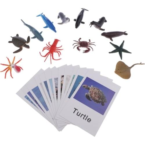 Matching Cards & Animal Figures - Set of 12 - Early Learning