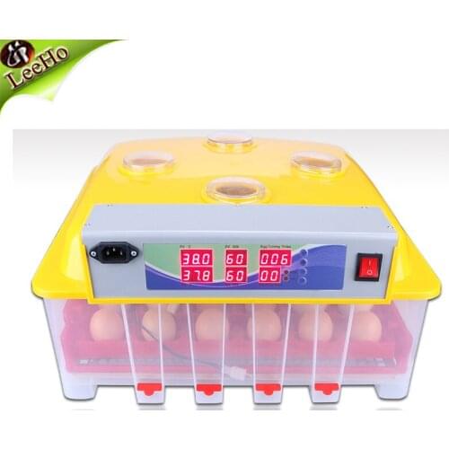 Fully automatic temperature control egg incubator for 56 eggs
