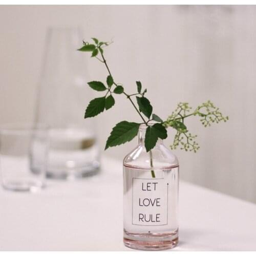 Light Pink Glass Storage Bottle Scandinavian Transparent Desk Organizer Flower Vase No Cover Eco-Friendly 200 300ml Bottle