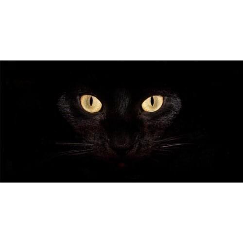 2016 Free Shipping Black Cat Bamboo Fiber Bath Towel Big Towels Bathroom Accessories 70 X 140CM