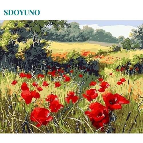 SDOYUNO 60x75cm Pictures By Numbers DIY Painting By Numbers Kits Red Flowers Frame Digital Painting Draw Number On Canvas