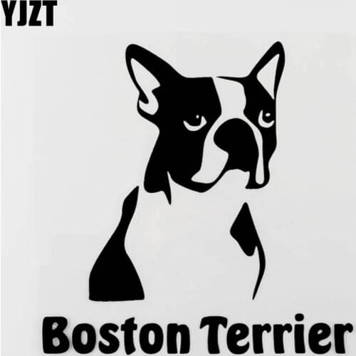 YJZT 15.5CM×15.7CM Fun Animal Boston Terrier Vinyl Car Sticker Bumper Decal Black/Silver 8C-0489