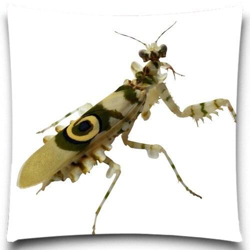 Animals Insect Spider pattern Decorative Pillow Case Cotton polyester Home Decor Fashion Cushion cover For Sofa car