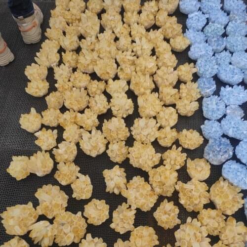 1pcs Natural Citrine Phantom Quartz Crystal Cluster Healing Specimen