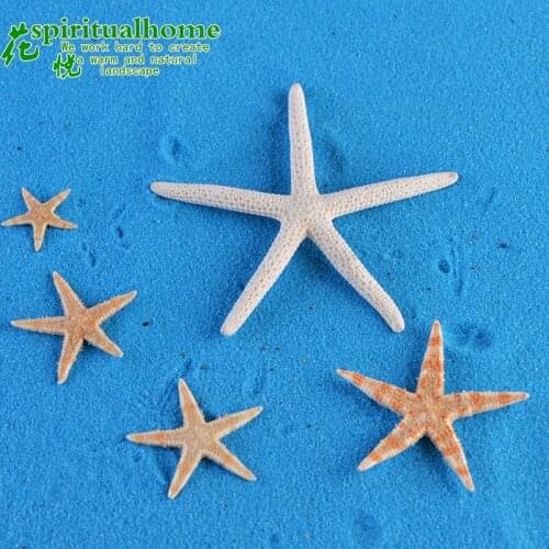 10PCS 1-2cm Random Resin Starfish Cabochon Starfish miniatures HOME DIY Miniatures Resin Flatback Sea Star Cabochons