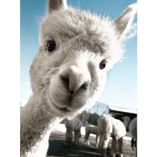 5D Diy Diamond Painting Alpaca Animal Diamond Mosaic Full Square/Round Diamond Embroidery Sale Wall Decoration