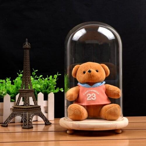 20cm*25cm Three-Leg Log Wood Base Glass Dome Vase Home Decoration Creative Glass Dome Friend Gift Wedding Decoration