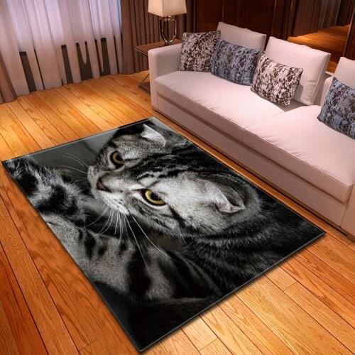Fashion home decoration sofa area carpet pet cat play mat decoration childrens room decoration bedside carpet flannel soft 3D c