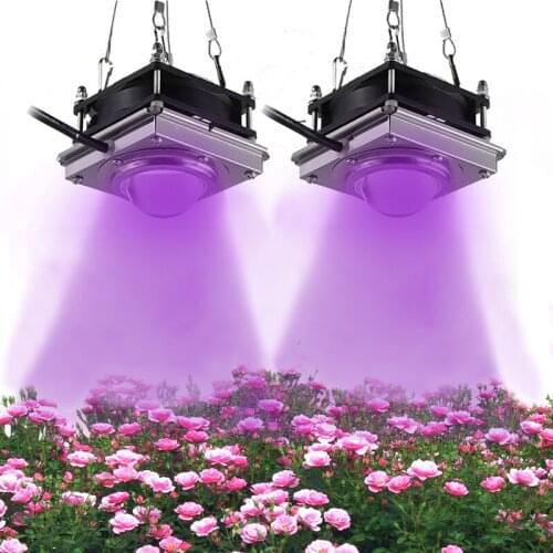 Indoor COB LED Grow Light 150W Phyto Lamp Full Spectrum Lamp For Plants Lights For Flower Fitolampy Grow Box Seedling High Power