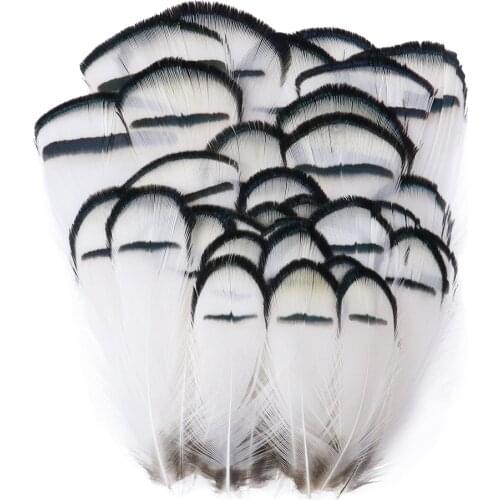 Natural Peacock Feathers Pheasant Decorative Feathers for Craft Ostrich Feathers Jewelry Making Christmas Decoration Craft Plume