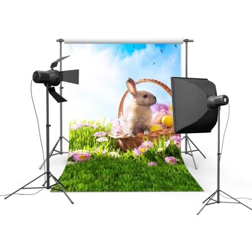 Easter bunny photo backgrounds vinyl baby boys portrait photography backdrops of photographer studio props fotografia GE-098