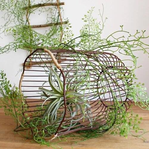 Black-bone awn artificial flower green plant winding vine fern fern Adiantum decorative landscaping