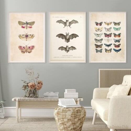 Vintage Bat Retro Butterfly Print Insect Natural Wall Art Poster Canvas Painting Living Room Home Interior Decoration Painting