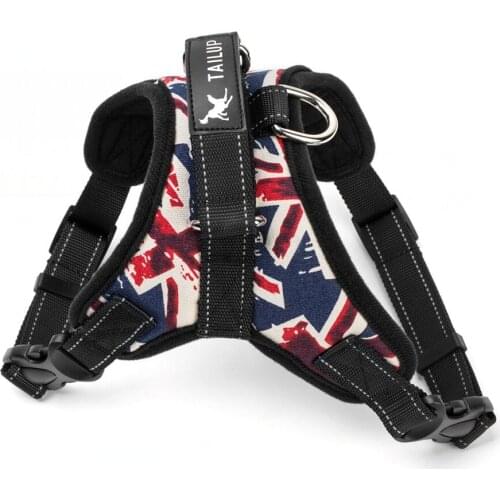 KPOODLE Collars, Harnesses And Leashes