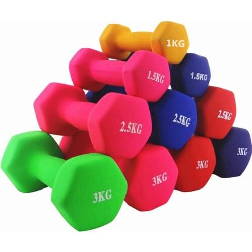 Small Dumbbell Womens Pair of Thin Arm Home Childrens Yaling Plastic-Dipping Womens Aerobics Fitness Dumbbell