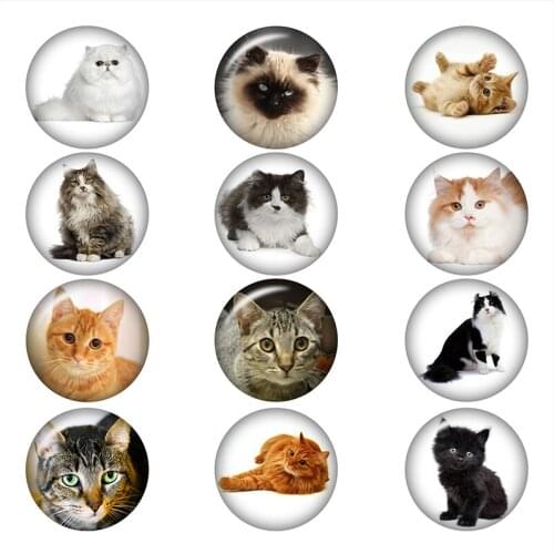 Mixed Glass Snap Button Jewelry Fashion Pet Cat For DIY 18MM Button Snap Bracelet Necklace Jewelry