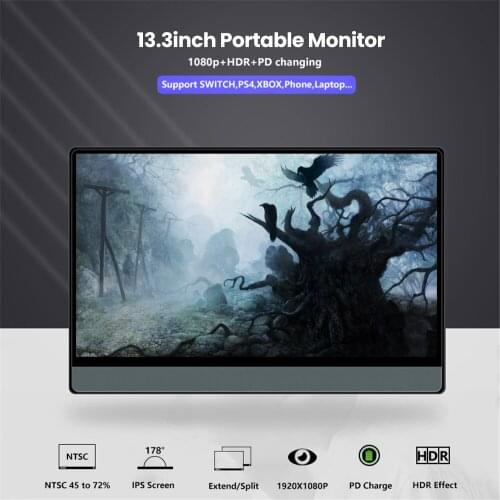 T-bao T13A 13.3'' Portable Monitor with HD 1080P IPS Panel Support Screen Expansion for Switch/PS3/PS4/PC/Laptop US EU Plug