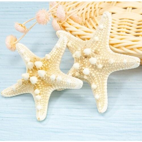 1pcs Mini Starfish Decoration Natural Mediterranean Sea Stars DIY Beach Cottage Kids Bedroom Living Room Decor