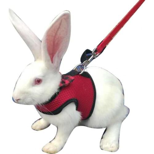 Pet Chest Strap Rabbit Hamster Chest Strap Vest Harness Walking Leash Traction Rope Pet Supply