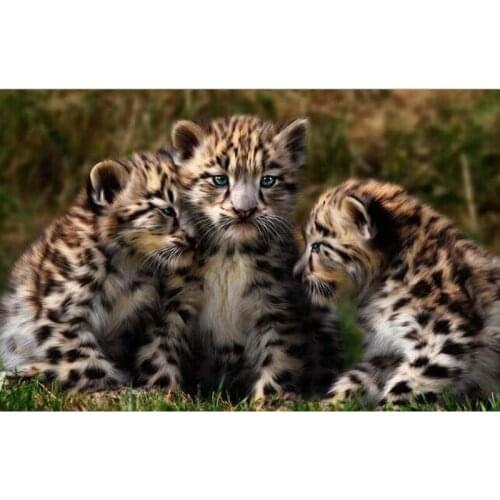 5D DIY Diamond Embroidery cartoon Cat Round Rhinestone Sets Full Diamond Painting Cross Stitch Needlework Diamond Mosaic