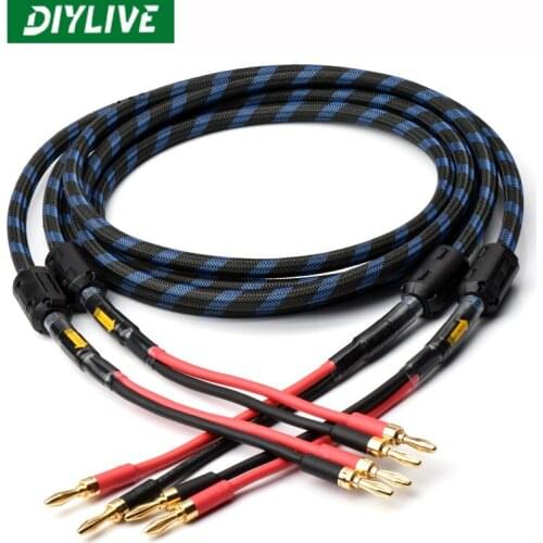 A pair of DIYLIVE Hi-Fi speaker cables, high quality 6N OFC speaker leads, with banana plug Y plug(3.5~5m)