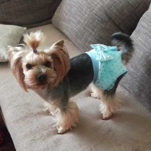 Pets Dog Diaper Sanitary Physiological Pants Washable Cotton Lace Edge Female Dog Shorts Panties Home Pets Supplies Pet Trousers