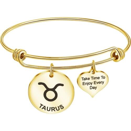 10Pcs/Lot Stainless Steel Twelve Zodiac Charm Bracelet & Bangle Expandable Wire Cable Bangle Jewelry Wholesale 60mm