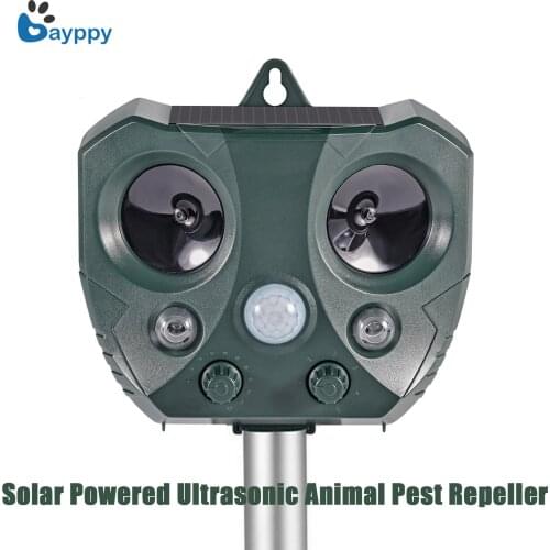 Ошейники антилай Bayppy China At AliExpress