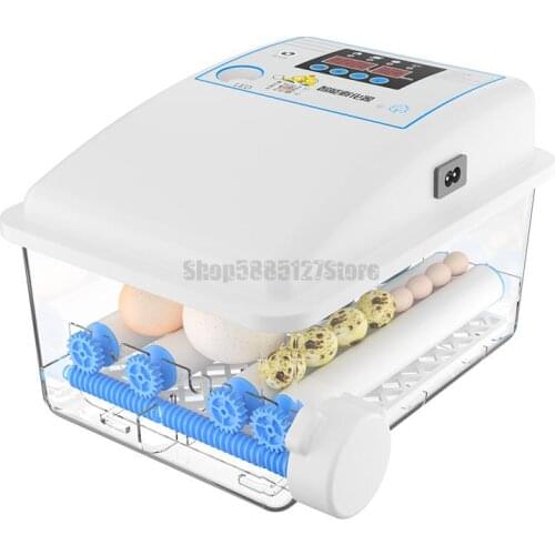 Incubator Small Household Incubator Water Bed Incubator Chicken Duck Goose Quail Parrot Bird Egg Mini Incubator