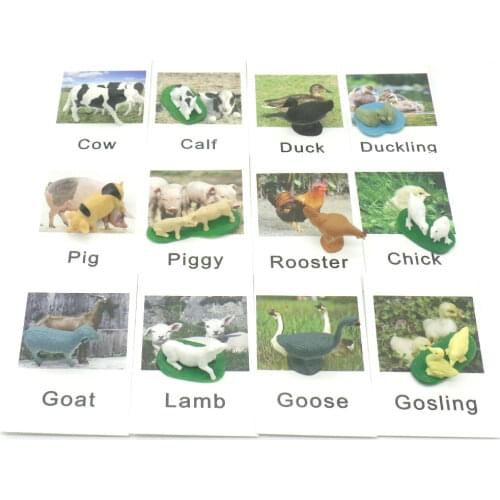 Montessori Language Material Words Learning Farm Animal Matching Educational Toys For 3 Year Olds Juguetes Montessori F2644H