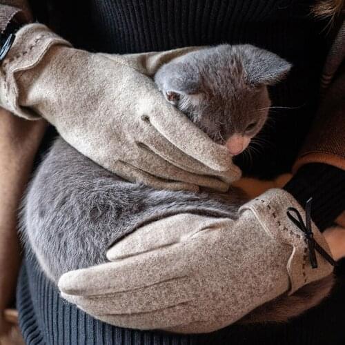 New Women Winter Fashion Warm Gloves Wild Outdoor Riding Touch Screen Gloves Female bowknot Mittens