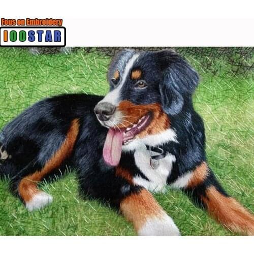 5d Diy Diamond painting Animal Puppy Bernese Mountain Dog Full Square/Round Diamond Embroidery mosaic Cross stitch Home Decor