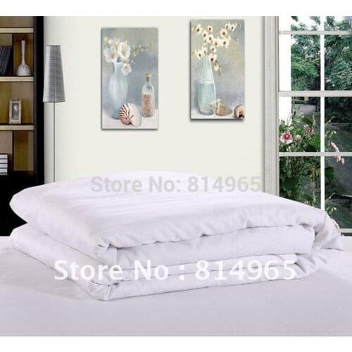 1500g 100% Mulberry Silk Filled Spring/Fall/Autumn White Handmade Top-Grade Duvet Quilt Comforter King240X210cmOr Make Any Size