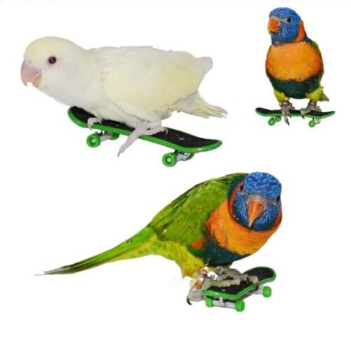 Fun Interactive Pet Parrot Bird Toys Intelligence Growth Funny Moving Toy D412
