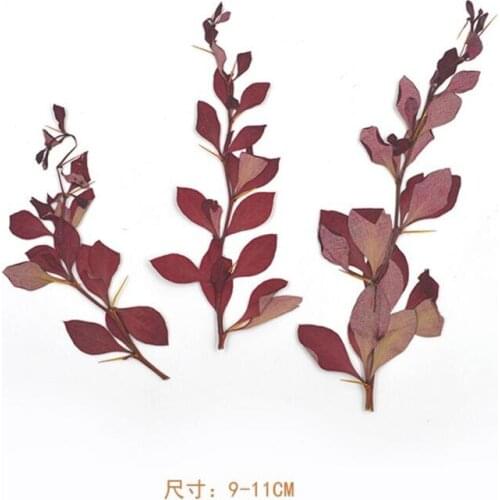 100pcs Red Pressed Dried Branch Stalks Flowers Plant Herbarium For Jewelry Postcard Phone Case Bookmark Craft DIY Accessories