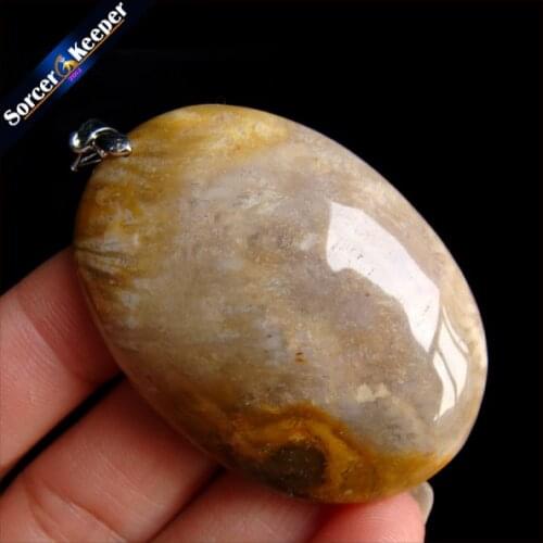 New Classic Hot Natural Healing Crinoid Fossil Gem Stone Pendant Necklace For Women And Men Chrysanthemum Stone Jewelry HS305