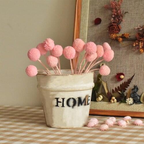 10Pcs Billy Golden Ball Craspedia Globosa High Quality Preserved Dried Flower Photograph Home Desktop Office Garden Decoration