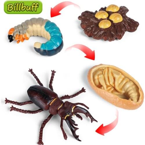 New 4pcs/set Insect Animal Model Simulation Growth Cycle Action Figures Collect Miniature Cognition Educational Toy for children
