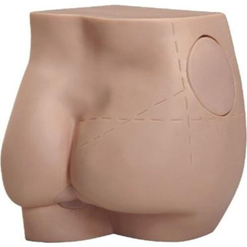 Hip Injection Training Model Buttock Muscle Injection Training teaching tools skeleton human anatomy model Medical supplies