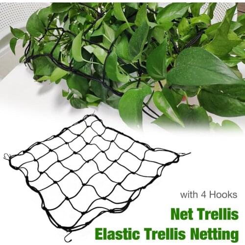 Grow Tent Trellis Net Elastic Rubber Garden Trellis Net Support For Vegetable Climbing Vine Plants Garden Plant Support Net