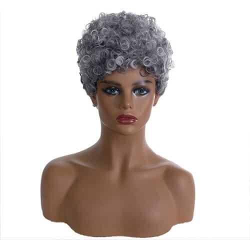 Synthetic Wigs For Women Afro Kinkly Curly Short Hair Wig Heat Resistant Fiber Puff Soft Gray Daily Wig