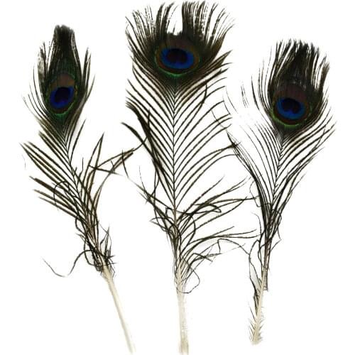 Peacock feathers 50 PCS 10-12 inches Jewelry accessorie peacock feathers DIY wedding decoration Party Supplies Wholesale IF20