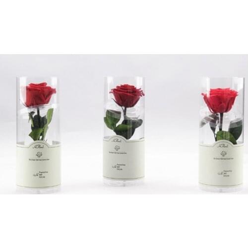 Everlating Rose Flower Charms DIY Permanent Rose Flower