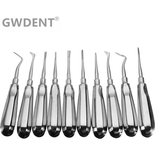 10Pcs Stainless Steel Dental Orthodontic Root Elevator Head Curved Pen Tool Dentistry Dentist Instrument Teeth Whitening Device